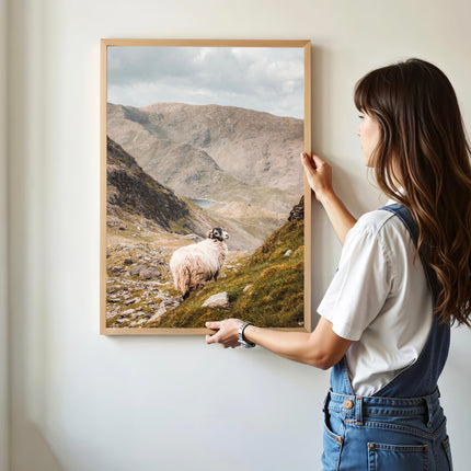 Old Man of Coniston Herdwick Sheep Print – Lake District Wall Art