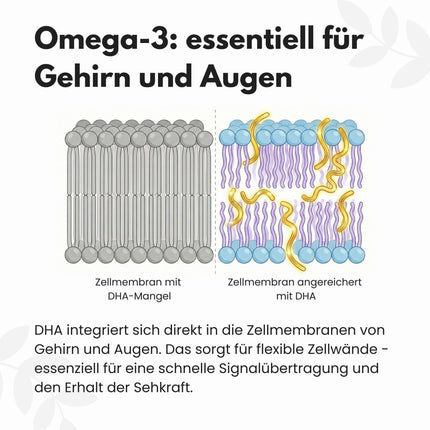 SEO. Omega 3 Kapseln aus Algenöl - Vegan - Einzeln Linkreich