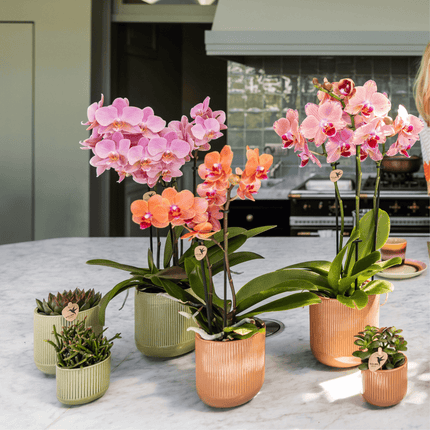 Flare Dekotopf Green – Ø9cm – Grüner Blumentopf mit Rillenstruktur – Retro – inspiriertes Design der Bold Seventies Kollektion