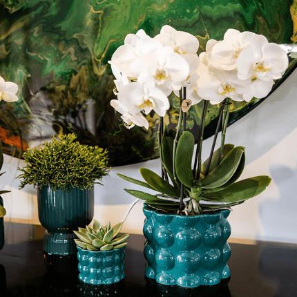 Ziertopf Diabolo – Grün – Ø9cm – Keramiktopf mit Rillenstruktur & abgerundetem Fuß – Blumentopf für Orchideen & Zimmerpflanzen