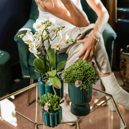 Ziertopf Diabolo – Grün – Ø9cm – Keramiktopf mit Rillenstruktur & abgerundetem Fuß – Blumentopf für Orchideen & Zimmerpflanzen
