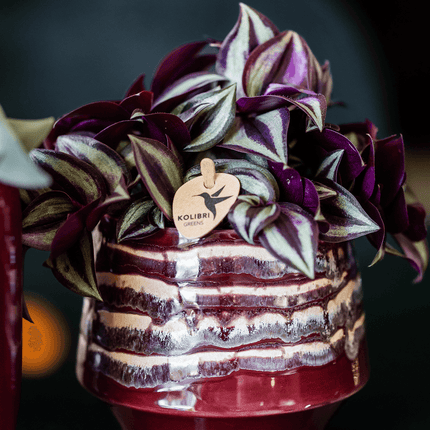 Übertopf Moonstone Burgundy Ø9cm – eleganter Keramik Blumentopf in Burgundrot – fein geschichtete Glasur mit dezentem Glanz