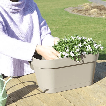 Campanula Addenda Ambella weiß 3er Set mit Balkonpflanzer taupe 36cm – Glockenblume weiß 12cm – inkl Aufhängesystem & Wasserreservoir