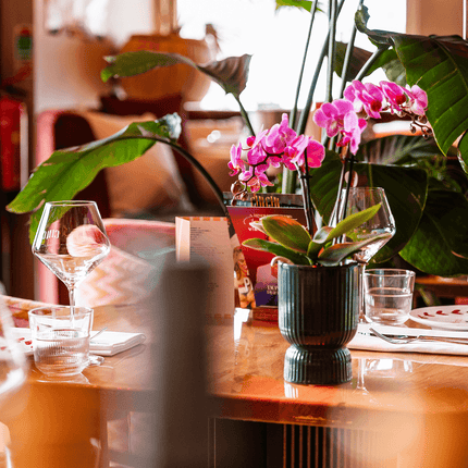 Ziertopf Diabolo – Grün – Ø9cm – Keramiktopf mit Rillenstruktur & abgerundetem Fuß – Blumentopf für Orchideen & Zimmerpflanzen