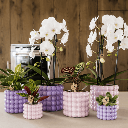 Ziertopf Poppy – Pink – Ø6cm – Kleiner Keramik Blumentopf in glänzendem Rosaton – Stilvoller Übertopf für Mini-Zimmerpflanzen, Sukkulenten & Kakteen