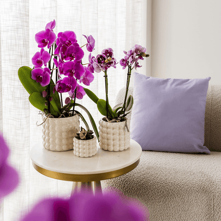 Poppy Ziertopf White – Blumentopf Ø12cm – Weißer Übertopf mit 3D Blasendesign – Moderner Pflanztopf glänzend für Zimmerpflanzen Kräuter & Deko