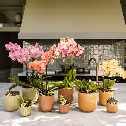 Dekotopf Flare ocker Ø12cm – Blumentopf mit Rillenmuster – runder Retro – Übertopf im 70er – Design