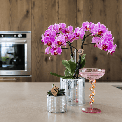 Blumentopf Disco – Ø6cm – Kleiner Keramik Ziertopf mit glänzender Struktur – Moderner Übertopf für Mini – Zimmerpflanzen, Sukkulenten & Kakteen
