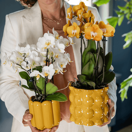 Übertopf Retro Shine gelb Ø9cm – Blumentopf mit Blasenrelief – hochglänzender Retro – Übertopf im 70er – Design