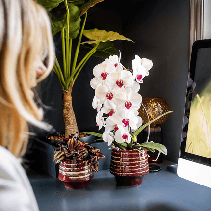 Übertopf Moonstone Burgundy Ø9cm – eleganter Keramik Blumentopf in Burgundrot – fein geschichtete Glasur mit dezentem Glanz