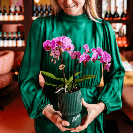 Ziertopf Diabolo – Grün – Ø9cm – Keramiktopf mit Rillenstruktur & abgerundetem Fuß – Blumentopf für Orchideen & Zimmerpflanzen
