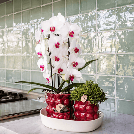 Übertopf Cotton Shine rot Ø12cm – Blumentopf mit Blasenrelief – hochglänzender Retro – Übertopf im 70er – Design
