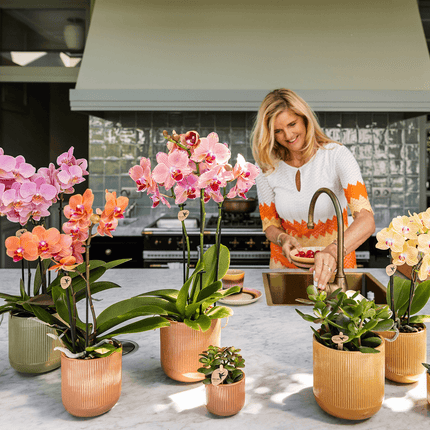 Dekotopf Flare ocker Ø6cm – Mini Blumentopf mit Rillenmuster – runder Retro – Übertopf im 70er – Design – Zimmerpflanzen