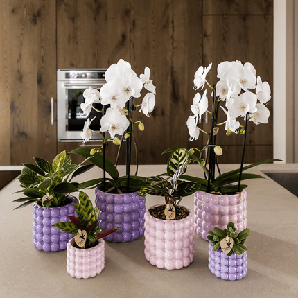 Poppy Ziertopf Pink – Blumentopf Ø12cm – Rosa Übertopf mit 3D Blasendesign – Moderner Pflanztopf glänzend für Zimmerpflanzen Kräuter & Deko