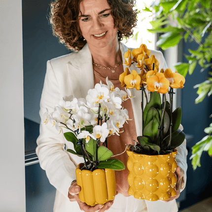 Übertopf Cotton Shine gelb Ø12cm – Blumentopf mit Blasenrelief – hochglänzender Retro – Übertopf im 70er – Design