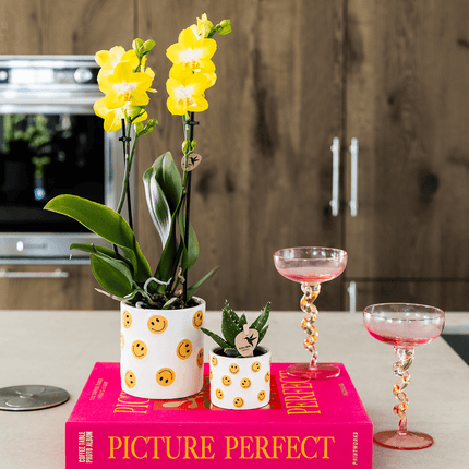 Smiley Übertopf Ø9cm – weißer Blumentopf mit gelben Smileys – Pflanztopf für Mini – Orchidee, Kaktus & Zimmerpflanzen – Gute