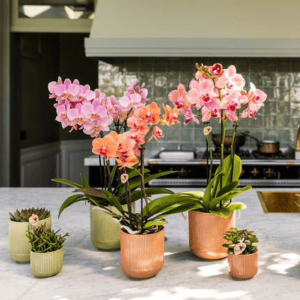 Dekotopf Flare ocker Ø6cm – Mini Blumentopf mit Rillenmuster – runder Retro – Übertopf im 70er – Design – Zimmerpflanzen