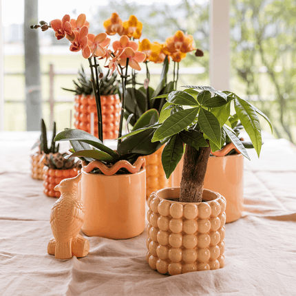 Ziertopf Poppy – Peach – Ø9cm – Moderner Keramik Blumentopf in glänzendem Pfirsichton – Stilvoller Übertopf für Zimmerpflanzen, Sukkulenten & Orchideen