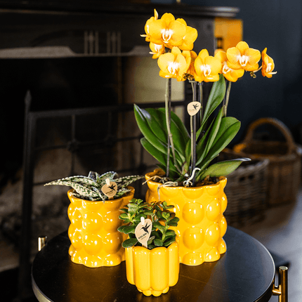 Übertopf Cotton Shine gelb Ø12cm – Blumentopf mit Blasenrelief – hochglänzender Retro – Übertopf im 70er – Design