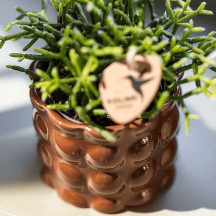Übertopf Cotton Shine braun Ø9cm – Blumentopf mit Reliefmuster – hochglänzender Retro – Übertopf im 70er – Design – Zimmerpflanzen