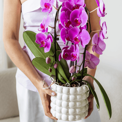 Poppy Ziertopf White – Blumentopf Ø12cm – Weißer Übertopf mit 3D Blasendesign – Moderner Pflanztopf glänzend für Zimmerpflanzen Kräuter & Deko