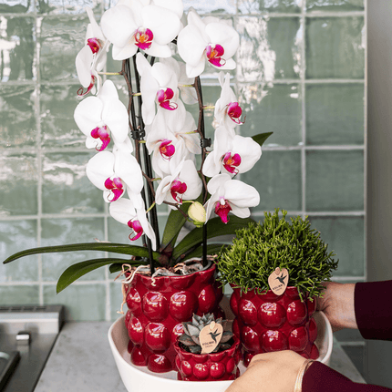Übertopf Cotton Shine rot Ø12cm – Blumentopf mit Blasenrelief – hochglänzender Retro – Übertopf im 70er – Design