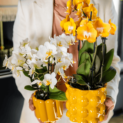 Übertopf Cotton Shine gelb Ø12cm – Blumentopf mit Blasenrelief – hochglänzender Retro – Übertopf im 70er – Design