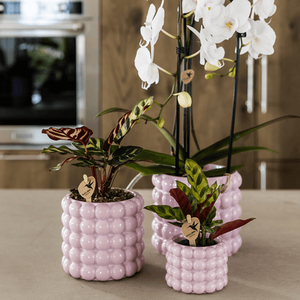 Ziertopf Poppy – Pink – Ø6cm – Kleiner Keramik Blumentopf in glänzendem Rosaton – Stilvoller Übertopf für Mini-Zimmerpflanzen, Sukkulenten & Kakteen