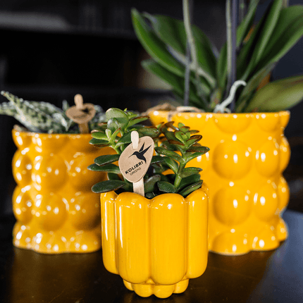 Übertopf Retro Shine gelb Ø6cm – Mini Blumentopf mit Blasenrelief – hochglänzender Retro – Übertopf im 70er – Design – Zimmerpflanzen