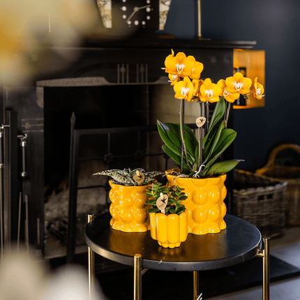 Übertopf Retro Shine gelb Ø9cm – Blumentopf mit Blasenrelief – hochglänzender Retro – Übertopf im 70er – Design