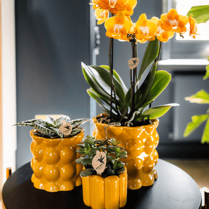 Übertopf Cotton Shine gelb Ø12cm – Blumentopf mit Blasenrelief – hochglänzender Retro – Übertopf im 70er – Design