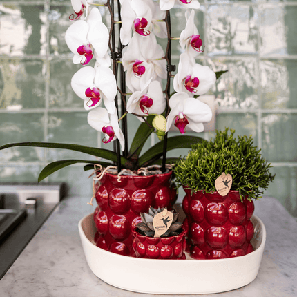 Übertopf Cotton Shine rot Ø12cm – Blumentopf mit Blasenrelief – hochglänzender Retro – Übertopf im 70er – Design