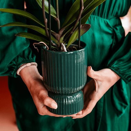 Ziertopf Diabolo – Grün – Ø9cm – Keramiktopf mit Rillenstruktur & abgerundetem Fuß – Blumentopf für Orchideen & Zimmerpflanzen