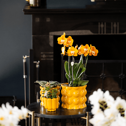 Übertopf Cotton Shine gelb Ø12cm – Blumentopf mit Blasenrelief – hochglänzender Retro – Übertopf im 70er – Design
