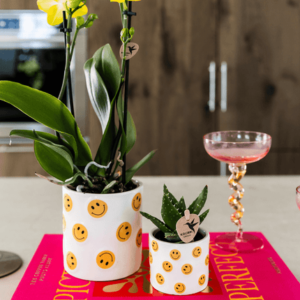 Smiley Übertopf Ø9cm – weißer Blumentopf mit gelben Smileys – Pflanztopf für Mini – Orchidee, Kaktus & Zimmerpflanzen – Gute