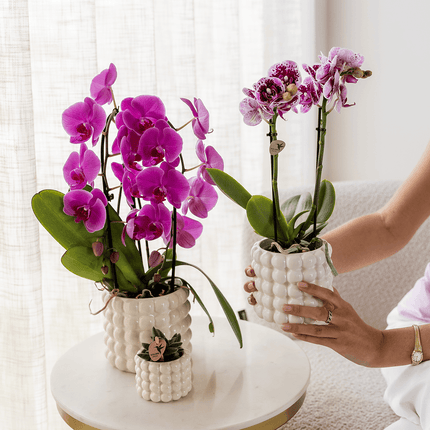 Poppy Ziertopf White – Blumentopf Ø12cm – Weißer Übertopf mit 3D Blasendesign – Moderner Pflanztopf glänzend für Zimmerpflanzen Kräuter & Deko