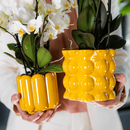 Übertopf Retro Shine gelb Ø9cm – Blumentopf mit Blasenrelief – hochglänzender Retro – Übertopf im 70er – Design