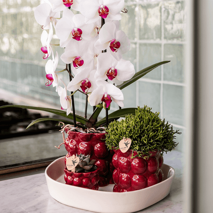 Übertopf Cotton Shine rot Ø12cm – Blumentopf mit Blasenrelief – hochglänzender Retro – Übertopf im 70er – Design