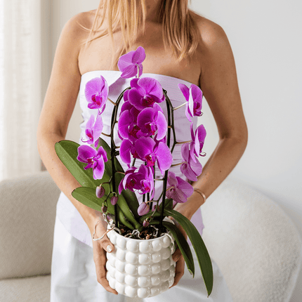 Poppy Ziertopf White – Blumentopf Ø12cm – Weißer Übertopf mit 3D Blasendesign – Moderner Pflanztopf glänzend für Zimmerpflanzen Kräuter & Deko