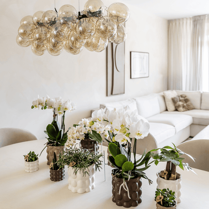 Ziertopf Cotton – Weiß – Ø6cm – Blumentopf mit matter Oberfläche – Pflanztopf aus der Slow Living Kollektion – Für kleine Pflanzen & Orchideen