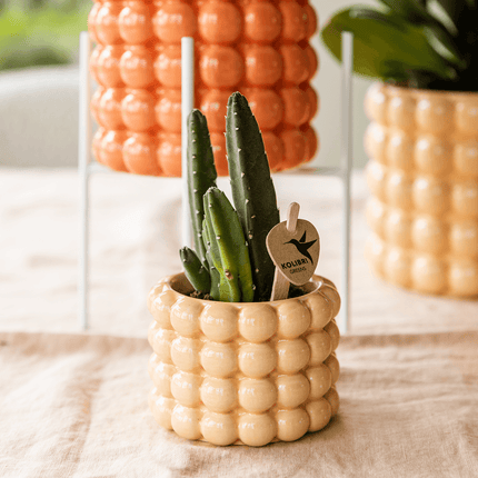 Ziertopf Poppy – Peach – Ø6cm – Kleiner Keramik Blumentopf in glänzendem Pfirsichton – Stilvoller Übertopf für Mini-Zimmerpflanzen, Sukkulenten & Kakteen