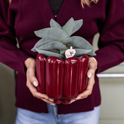 Übertopf Retro Shine rot Ø12cm – Blumentopf mit Blasenrelief – hochglänzender Retro – Übertopf im 70er – Design