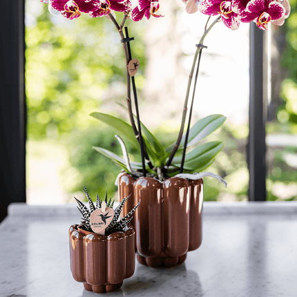 Übertopf Retro Shine braun Ø6cm – Mini Blumentopf mit Blasenrelief – hochglänzender Retro – Übertopf im 70er – Design – Zimmerpflanzen
