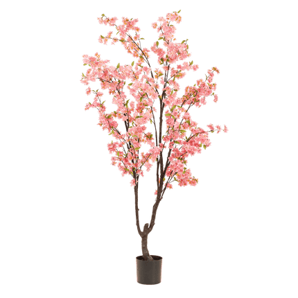 Kunstpflanze Kirschblüte – Prunus – Rosa – Höhe 210cm – Täuschend echt – Dekopflanze für Wohnzimmer, Büro & Events – Pflegeleicht & langlebig