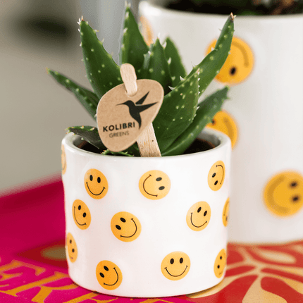 Smiley Übertopf Ø6cm – fröhlicher Mini Blumentopf mit gelben Smileys – Pflanztopf für Sukkulenten, Kakteen & Stecklinge