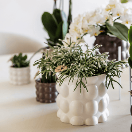 Ziertopf Cotton – Weiß – Ø9cm – Blumentopf mit matter Oberfläche – Pflanztopf aus der Slow Living Kollektion – Für kleine Zimmerpflanzen & Orchideen