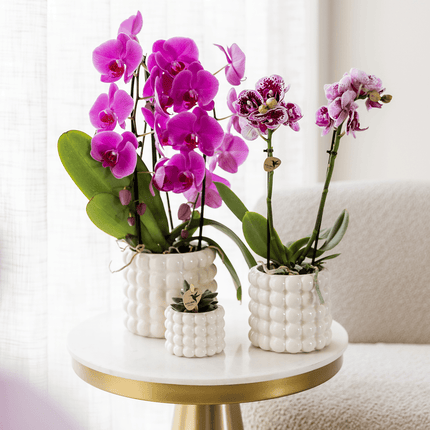 Poppy Ziertopf White – Blumentopf Ø12cm – Weißer Übertopf mit 3D Blasendesign – Moderner Pflanztopf glänzend für Zimmerpflanzen Kräuter & Deko