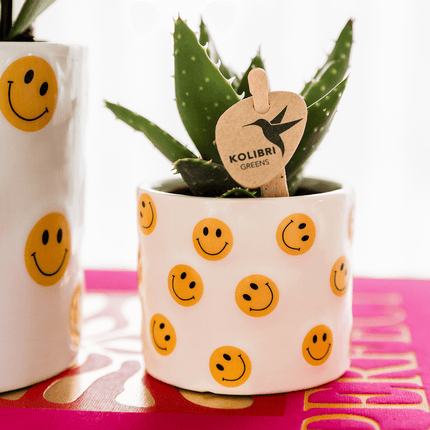 Smiley Übertopf Ø6cm – fröhlicher Mini Blumentopf mit gelben Smileys – Pflanztopf für Sukkulenten, Kakteen & Stecklinge