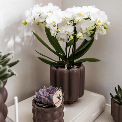 Retro Pflanztopf – Brown – Ø9cm – Dekorativer Übertopf aus Keramik – Blumentopf mit Rillenstruktur – Für Orchideen & Grünpflanzen