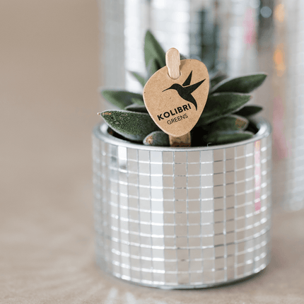 Blumentopf Disco – Ø6cm – Kleiner Keramik Ziertopf mit glänzender Struktur – Moderner Übertopf für Mini – Zimmerpflanzen, Sukkulenten & Kakteen